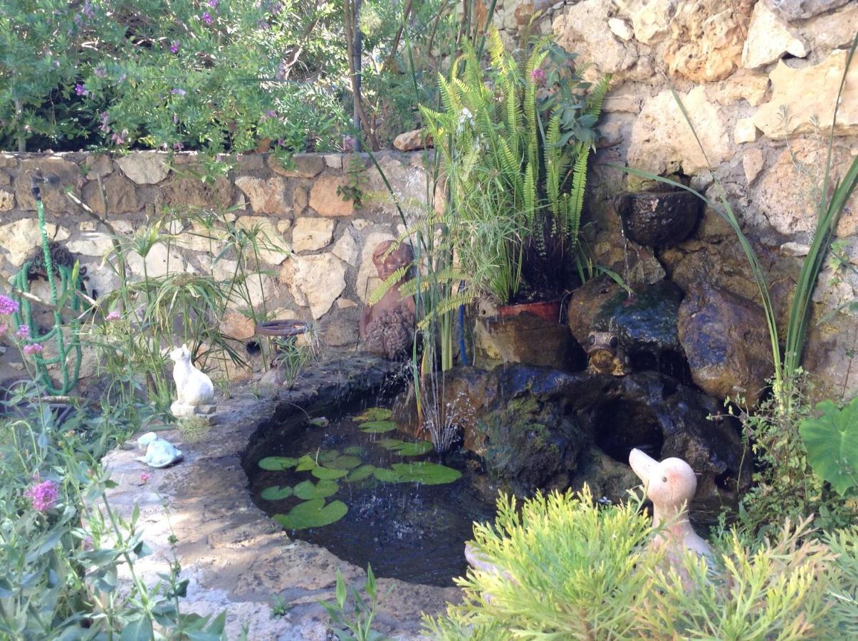 Olive House Traditional Villa With Pool Sitia (Crete) Exterior foto